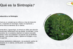 6-BIOSINFONIA-LA-SINTROPIA