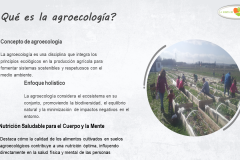 7-BIOSIFONIA-SUELOS-AGROECOLOGICOS