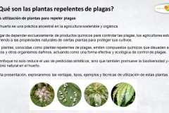 8-BIOSINFONIA-PROTEGIENDO-EL-HUERTO