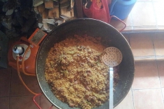 imagenes-la-huerta-de-gui-huertos-familiares-agricultura-ecologica-en-Granada-03