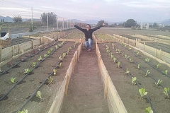 imagenes-la-huerta-de-gui-huertos-familiares-agricultura-ecologica-en-Granada-05