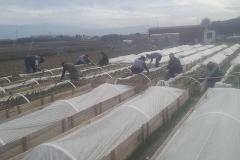 imagenes-la-huerta-de-gui-huertos-familiares-agricultura-ecologica-en-Granada-23