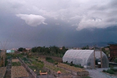 imagenes-la-huerta-de-gui-huertos-familiares-agricultura-ecologica-en-Granada-38