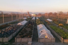 imagenes-la-huerta-de-gui-huertos-familiares-agricultura-ecologica-en-Granada-51