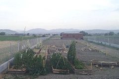 imagenes-la-huerta-de-gui-huertos-familiares-agricultura-ecologica-en-Granada-53