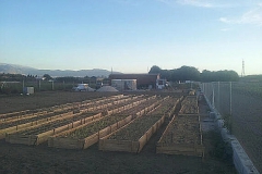 imagenes-la-huerta-de-gui-huertos-familiares-agricultura-ecologica-en-Granada-65